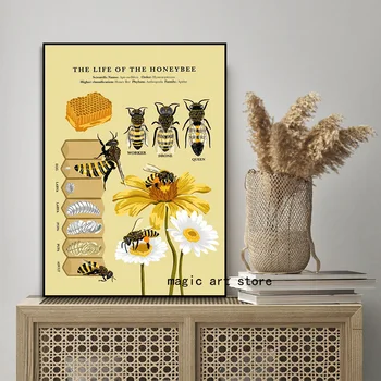 Évjárat Ősi, Az Élet, A mézelő Méh Természetes Rovarok Biológia Művészet Plakát Vászon Festmény, Fali Kép Nyomtatása Szoba lakberendezés